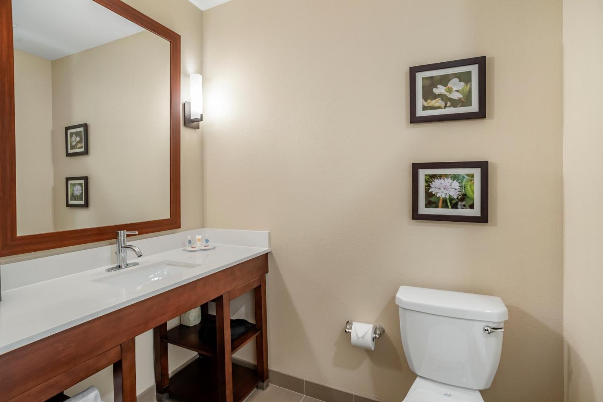Comfort Inn & Suites Вінчестер Номер фото